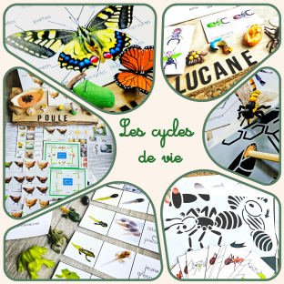 Orange Watercolor Autumn Background Document (22)